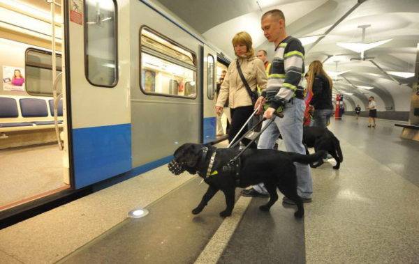 Câini de conducere în metrou