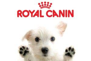 Mâncare pentru câini Royal Canin (Royal Canin)